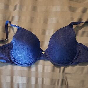 Natori Royal Blue Lace T-Shirt Push-Up Bra